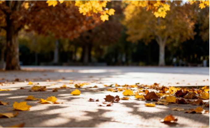 容恩掃地車助力秋季戶外落葉清掃